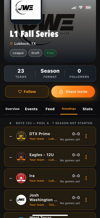 Leagues l1 Standings top leagues Actual iPhone capture